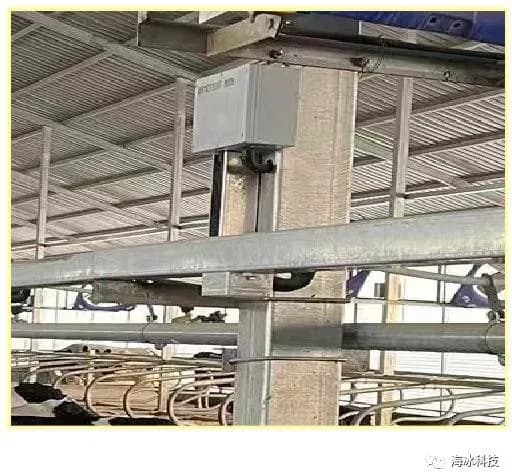Field-mounted camera capturing the feeding zone